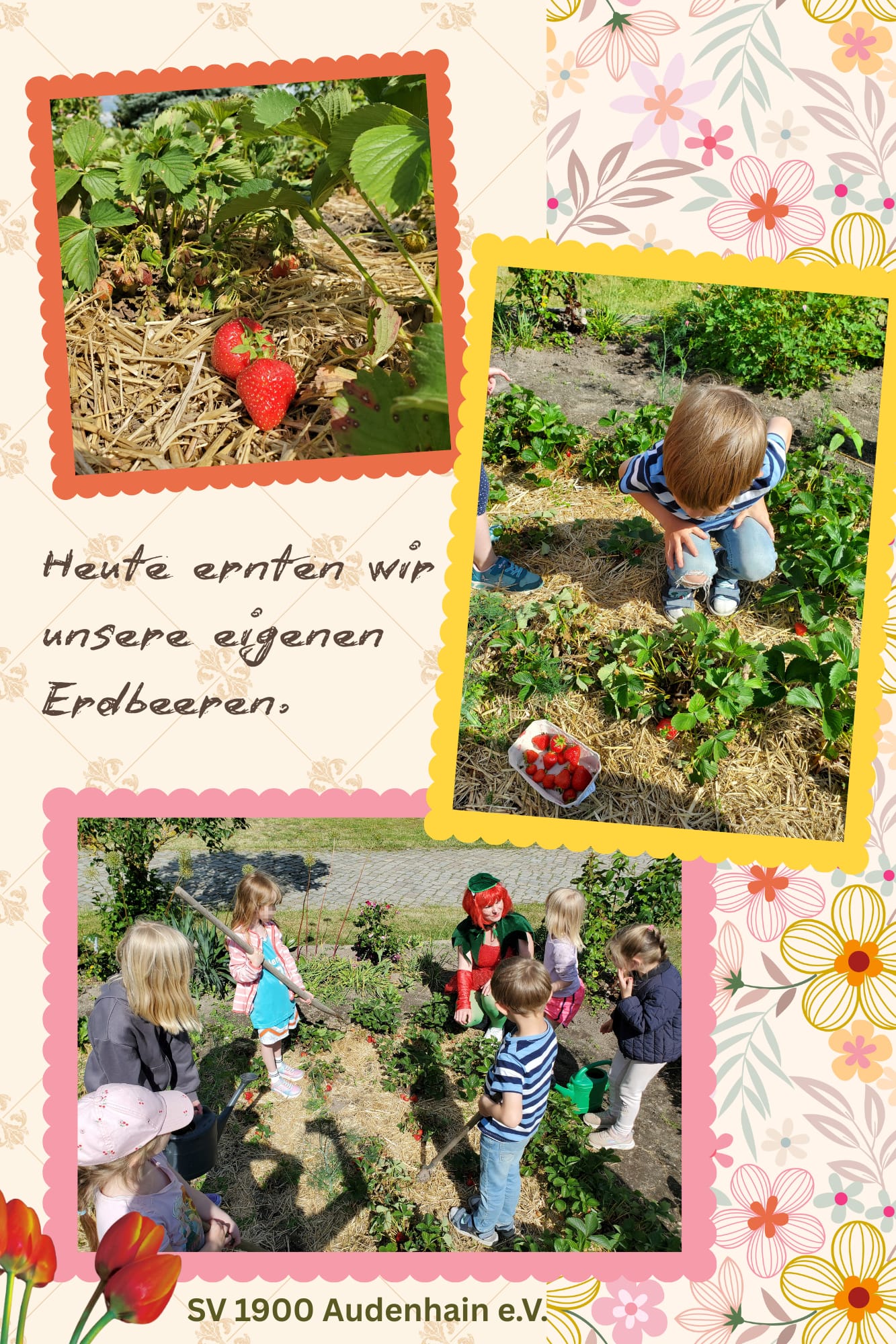 IMG-20260611-WA0009